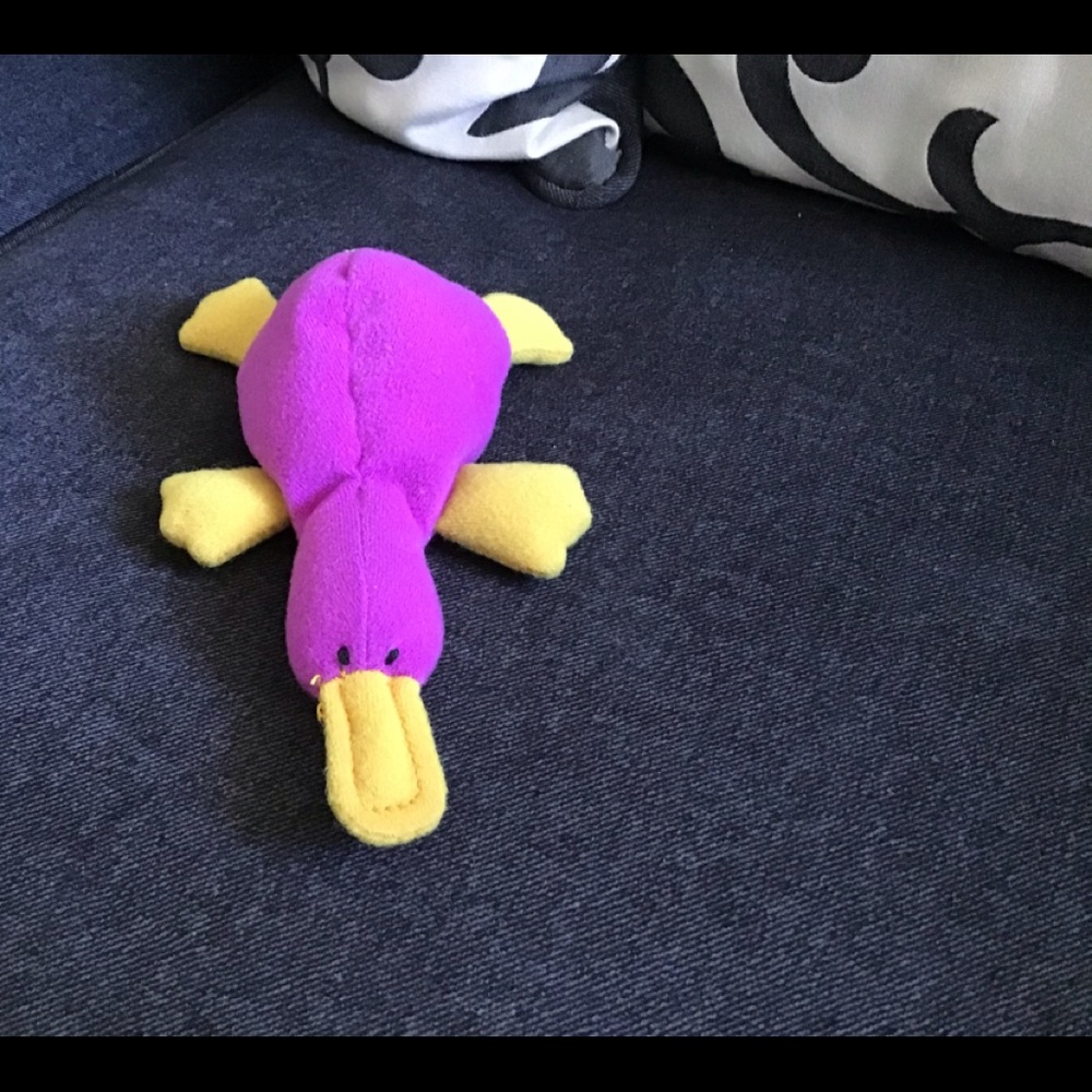 TY Beanie Baby PATTI THE PURPLE  PLATYPUS 1993